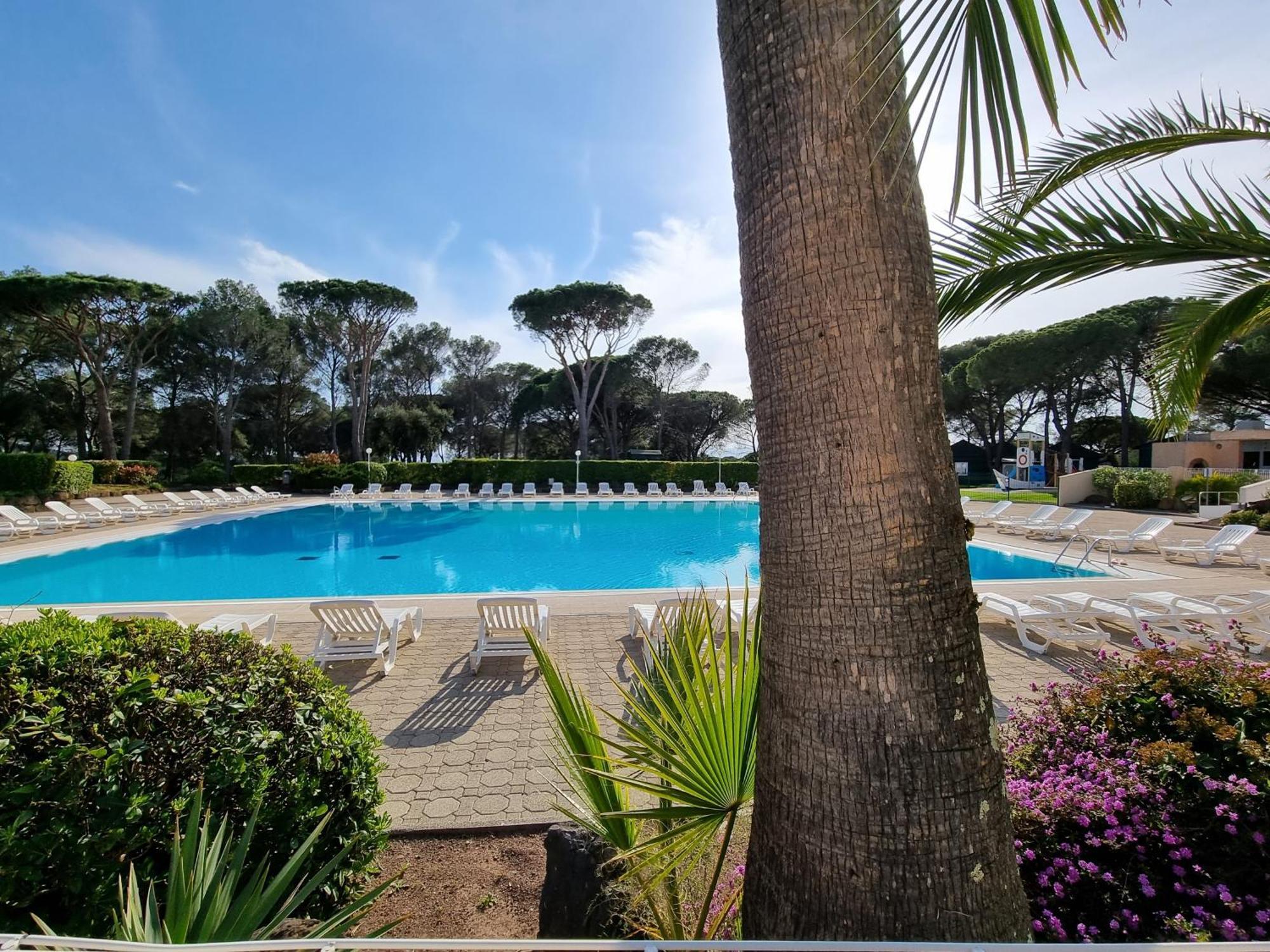 Studio 4P Vue Piscine St Raphael Valescure - Au Coeur Des Golfs Saint-Raphaël Exteriér fotografie